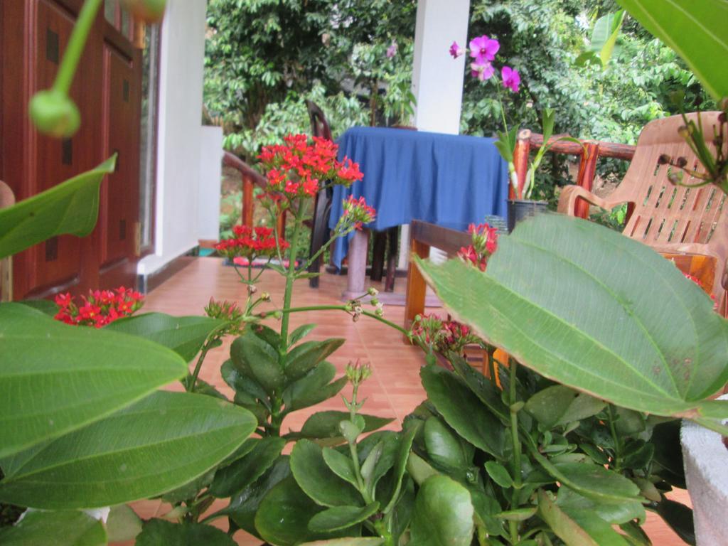 Ranga Villa Hikkaduwa Exterior photo